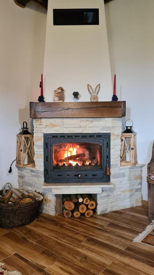 Villa Casa Bunicilor Din Oncesti Extérieur photo