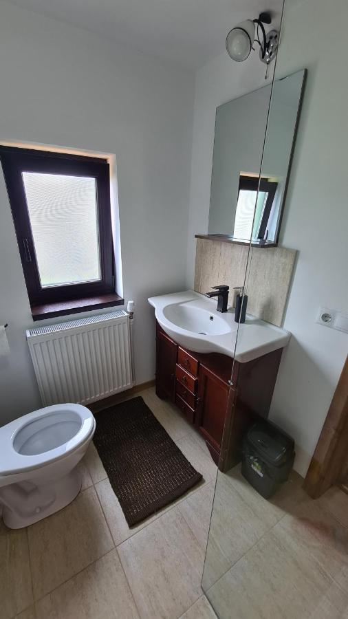 Villa Casa Bunicilor Din Oncesti Extérieur photo