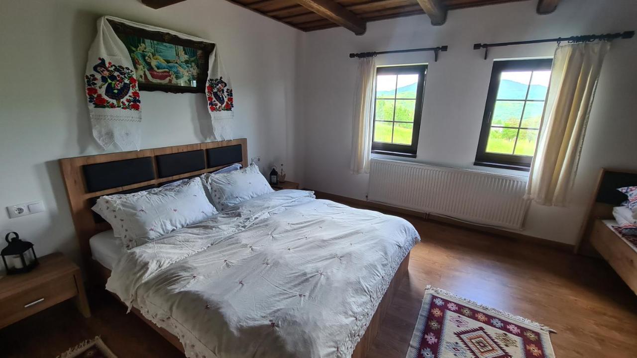Villa Casa Bunicilor Din Oncesti Extérieur photo
