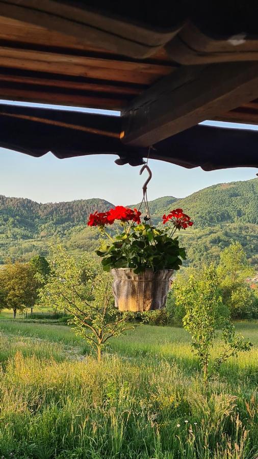 Villa Casa Bunicilor Din Oncesti Extérieur photo