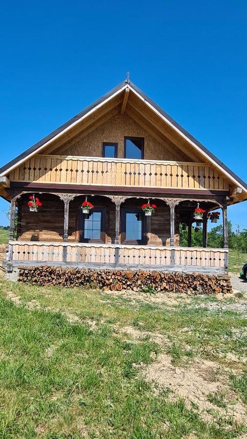 Villa Casa Bunicilor Din Oncesti Extérieur photo