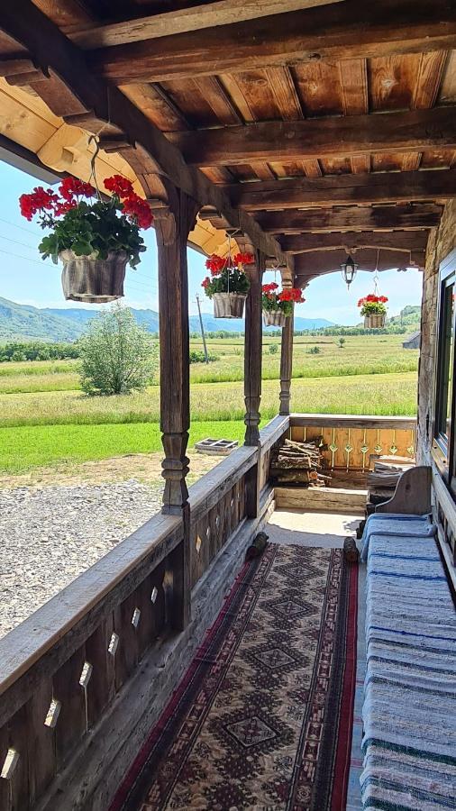 Villa Casa Bunicilor Din Oncesti Extérieur photo